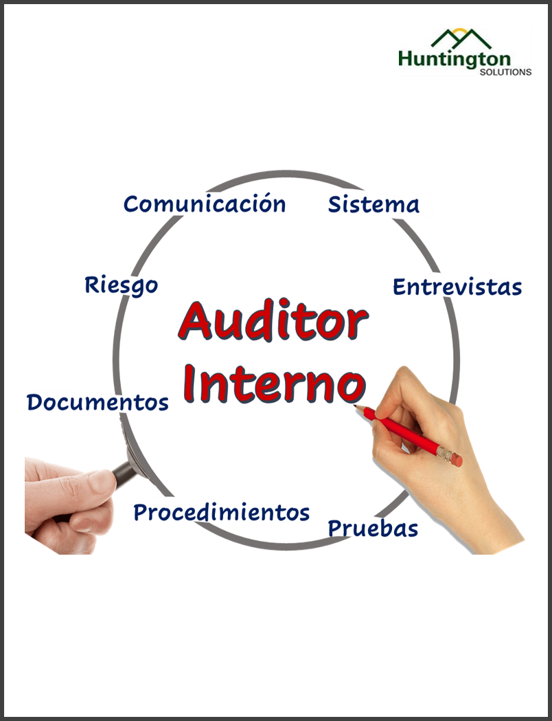 Auditor Interno