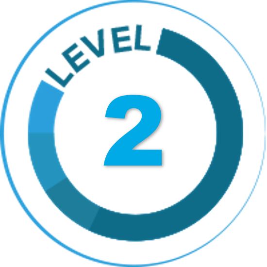 Level 2 copy 1