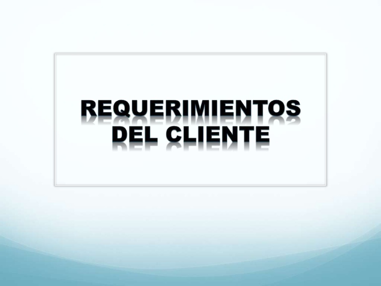 CS-01 Rev.02 Requerimientos específicos de clientes